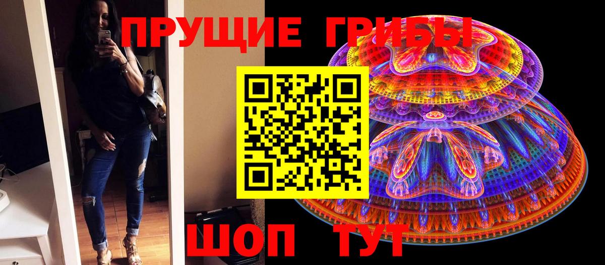 Псилоцибиновые грибы GOLDEN TEACHER Кандалакша